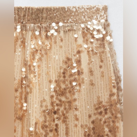 Zara Medium Pinkish Bronze Sequinned Midi Skirt - Picture 5 of 13